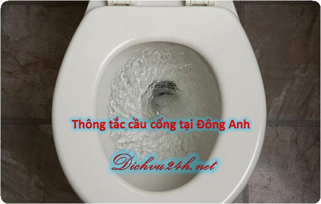 thong-tac-bon-cau-tai-dong-anh